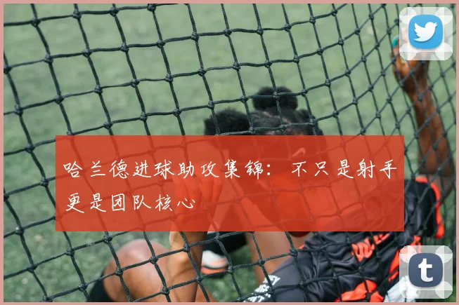 哈兰德进球助攻集锦：不只是射手更是团队核心