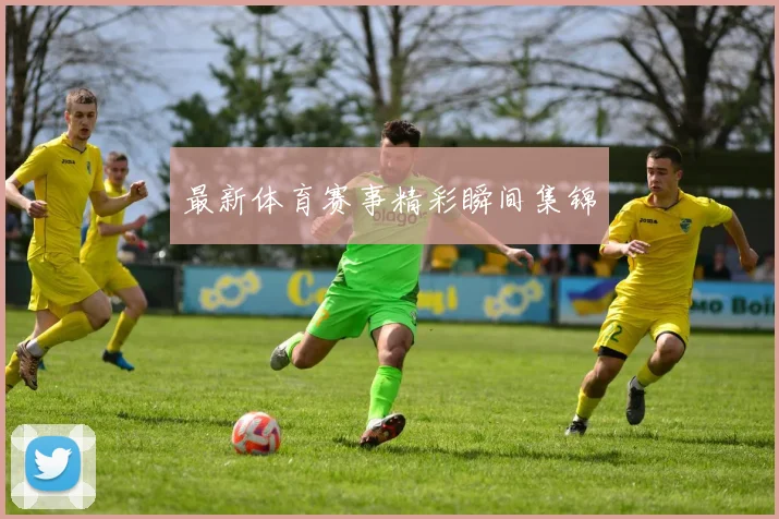 最新体育赛事精彩瞬间集锦